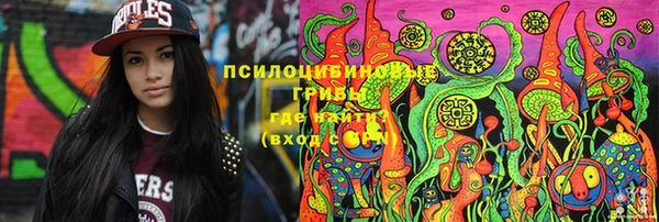 метадон Алексин
