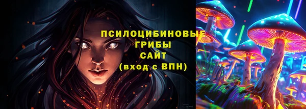 хмурый Абинск
