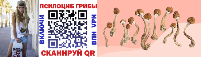 Галлюциногенные грибы прущие грибы  Алзамай 